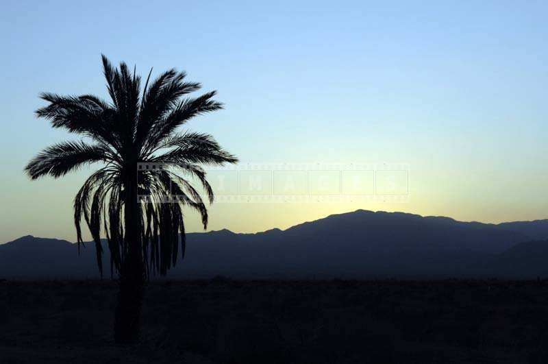 salton city dating Land for sale in salton city, ca on oodle classifieds join millions of people using oodle to find local real estate listings, homes for sales, condos for sale and. salton city dating Land for sale in salton city, ca on oodle classifieds join millions of people using oodle to find local real estate listings, homes for sales, condos for sale and.