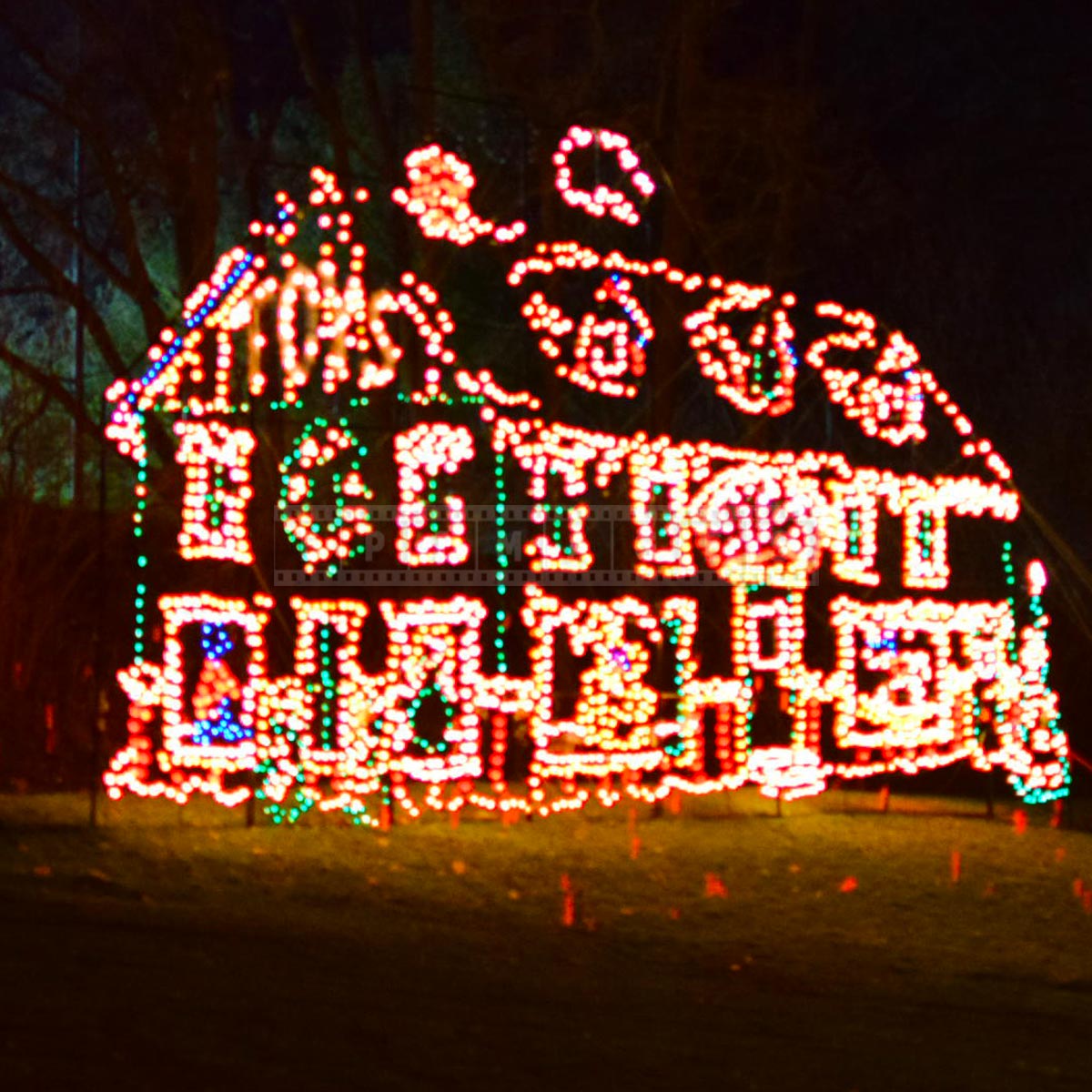 albany ny holiday lights in the park is a great christmas albany ny holiday lights in the park is a great christmas